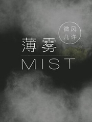 MIST(WEB NOVEL CN) Book