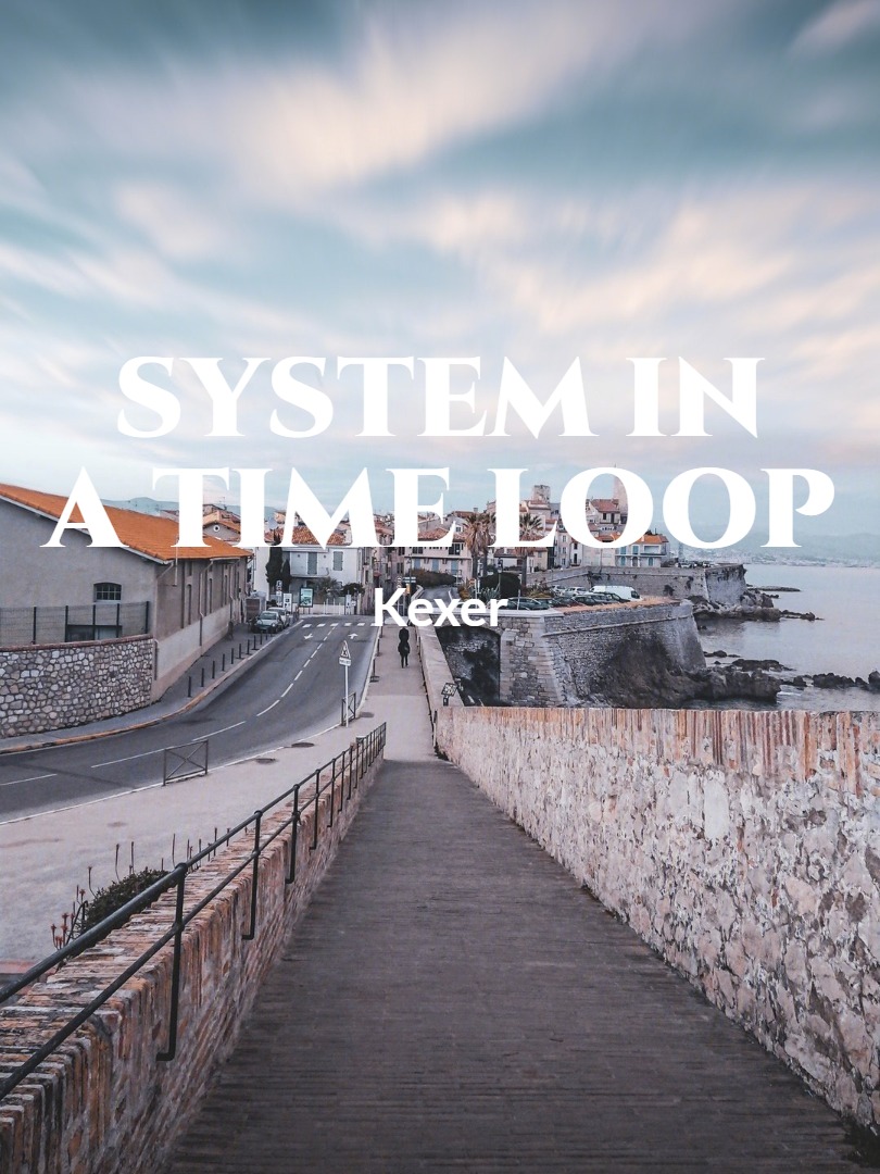 System In A Time Loop Book