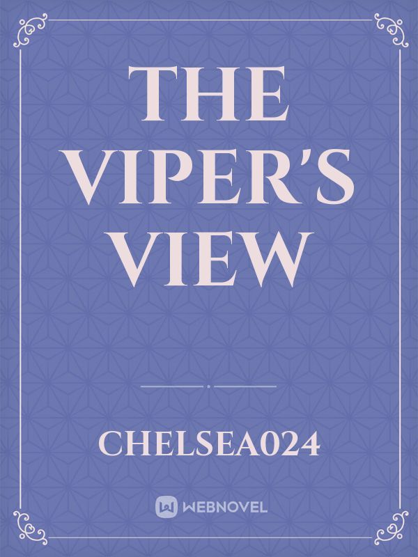 The Viper's View