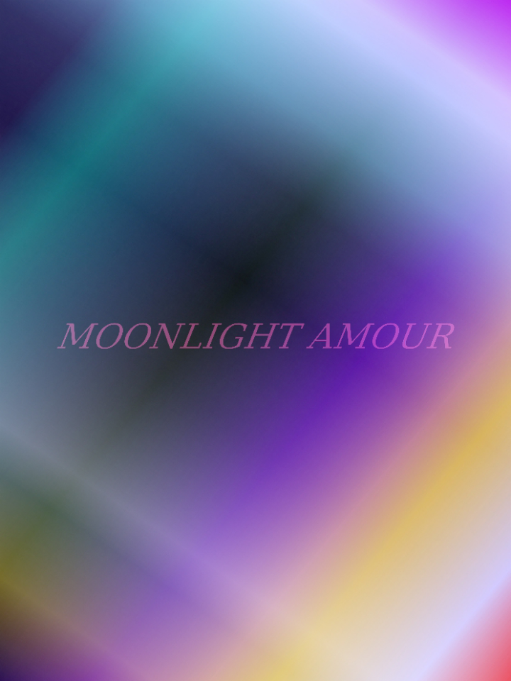 MOONLIGHT AMOUR Book