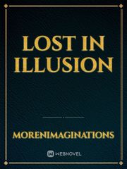 Lost in illusion Book