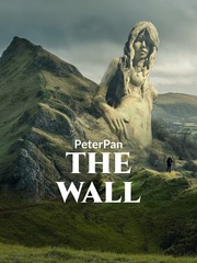 THE WALL Book