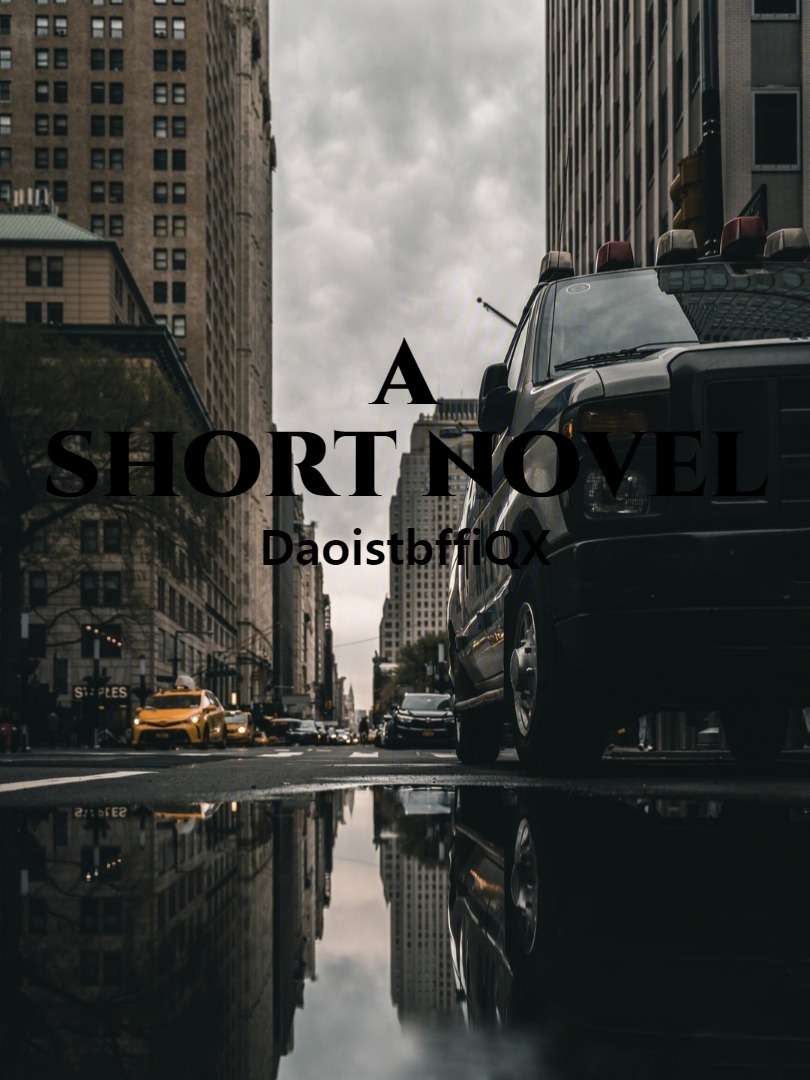 a short novel