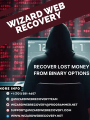 BITCOIN - ASSETS INVESTMENT RECOVERY WITH WIZARD WEB RECOVERY Book