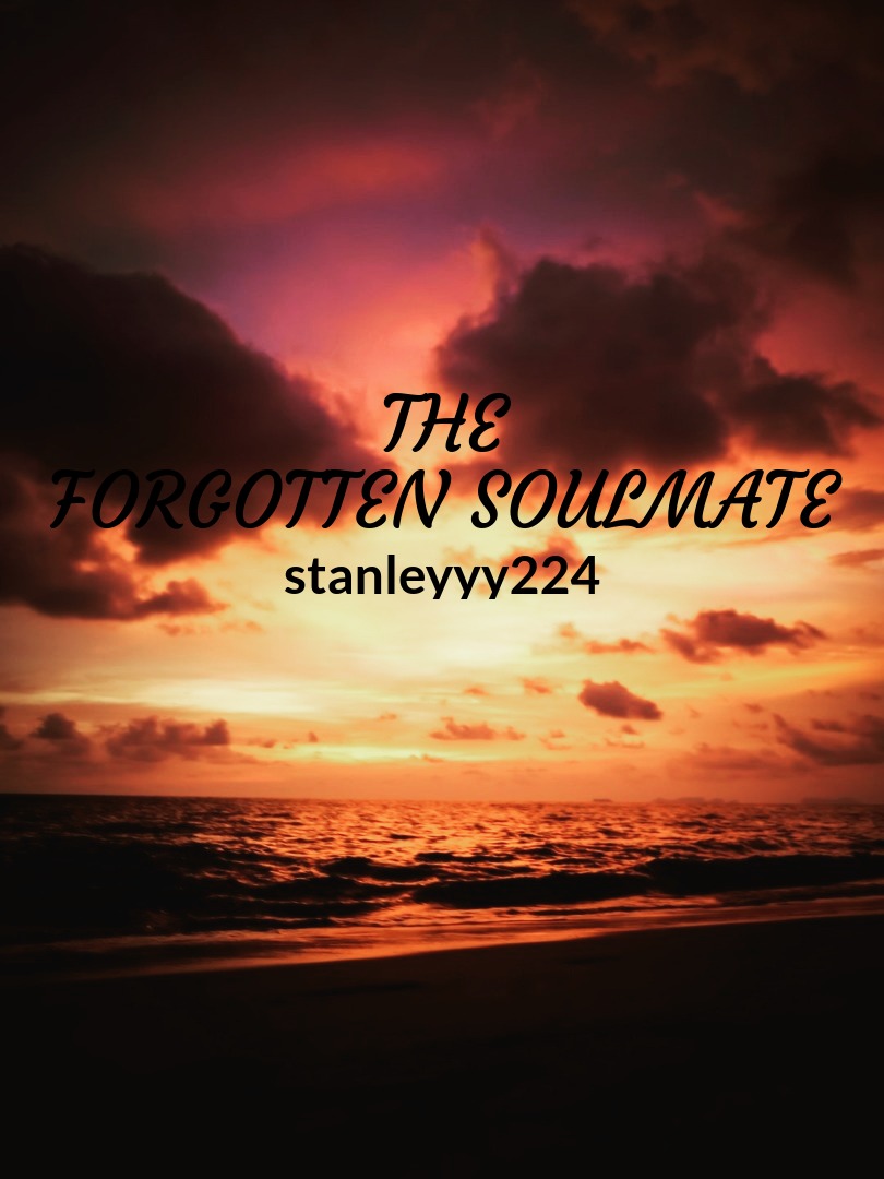 The forgotten soulmate Book