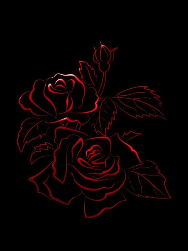 The Red Rose and The Black Rose Book