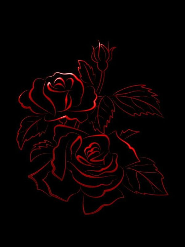 The Red Rose and The Black Rose