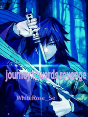 journey towards revenge Book