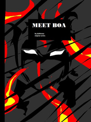 Meet Boa Book