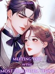 Meeting You Is The Most Beautiful Thing Book
