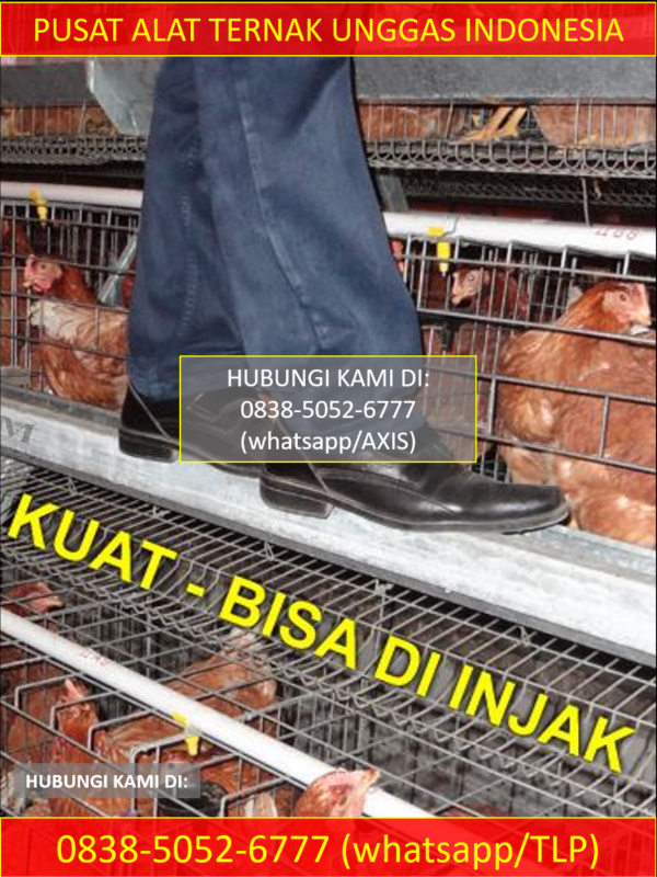 Supplier Kandang Baterai Ayam
