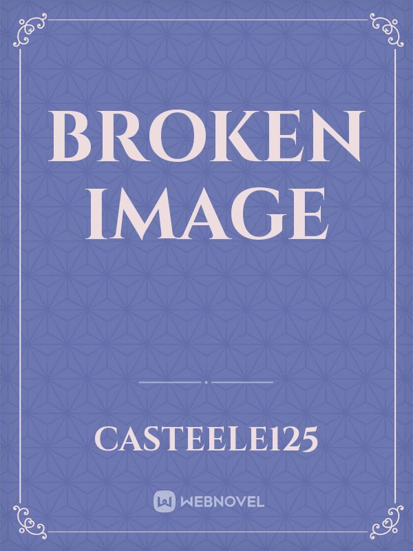 Broken Image Book