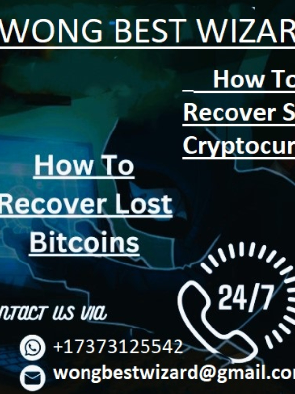 How to recover stolen cryptocurrency online by Wong Best Wizard