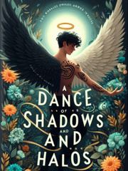 A Dance Of Shadows And Halos Book