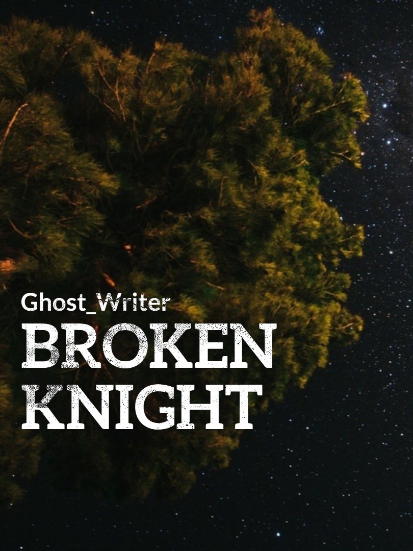 The Broken Knight Book