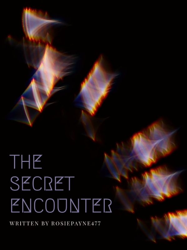 The Secret Encounter