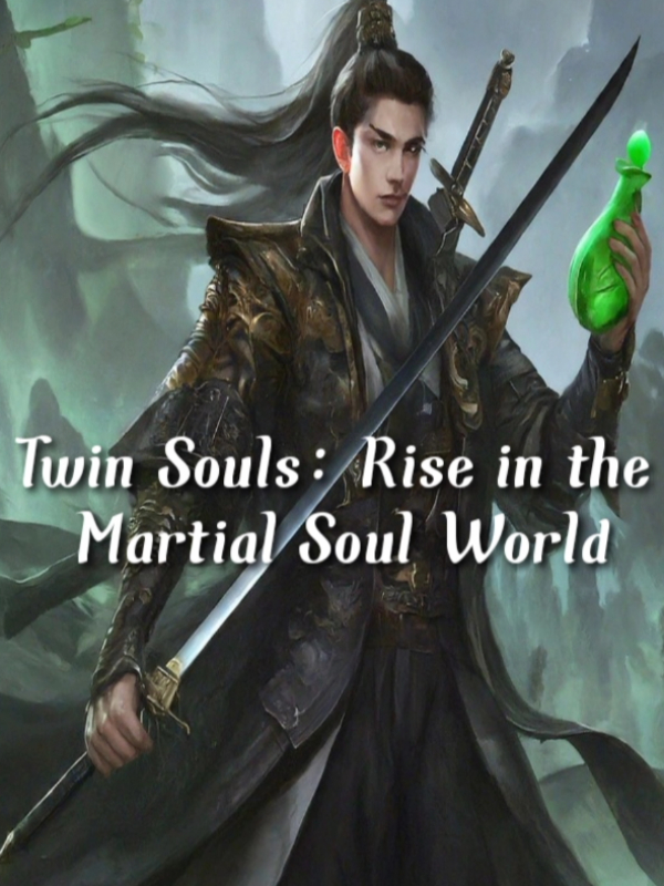 Twin Souls: Rise in the Martial Soul World Book