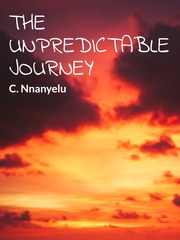 The Unpredictable Journey Book