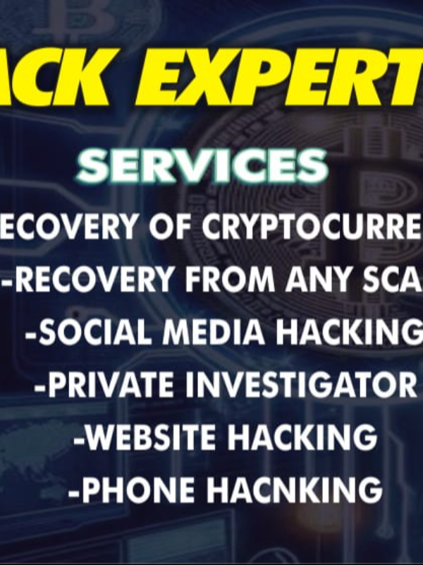 Reclaim Stolen Cryptocurrency with TrustGeeks Hack Expert