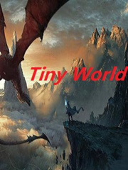 Tiny world Book