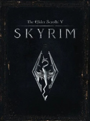 Skyrim: A Reincarnator's Journey Book