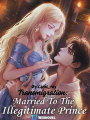 Transmigration: Married To The Illegitimate Prince Book
