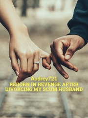 Reborn in Revenge After Divorcing My Scum Husband Book