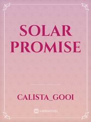 Solar Promise Book