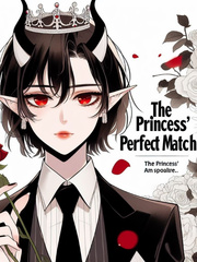 The  princess perfect match Book
