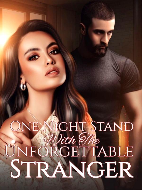 One Night Stand With The Unforgettable Stranger Book