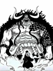 One Piece: I Am Kaido And Luffy is Coming! Book