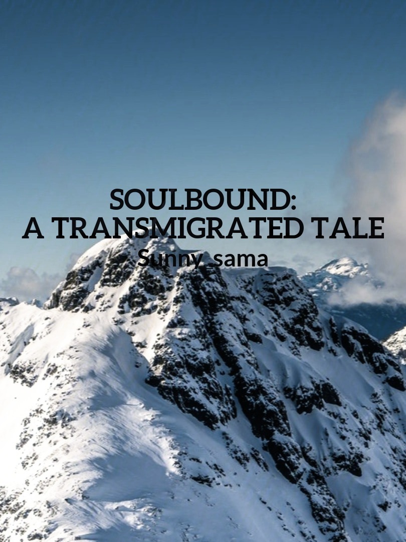 Soulbound: A Transmigrated Tale