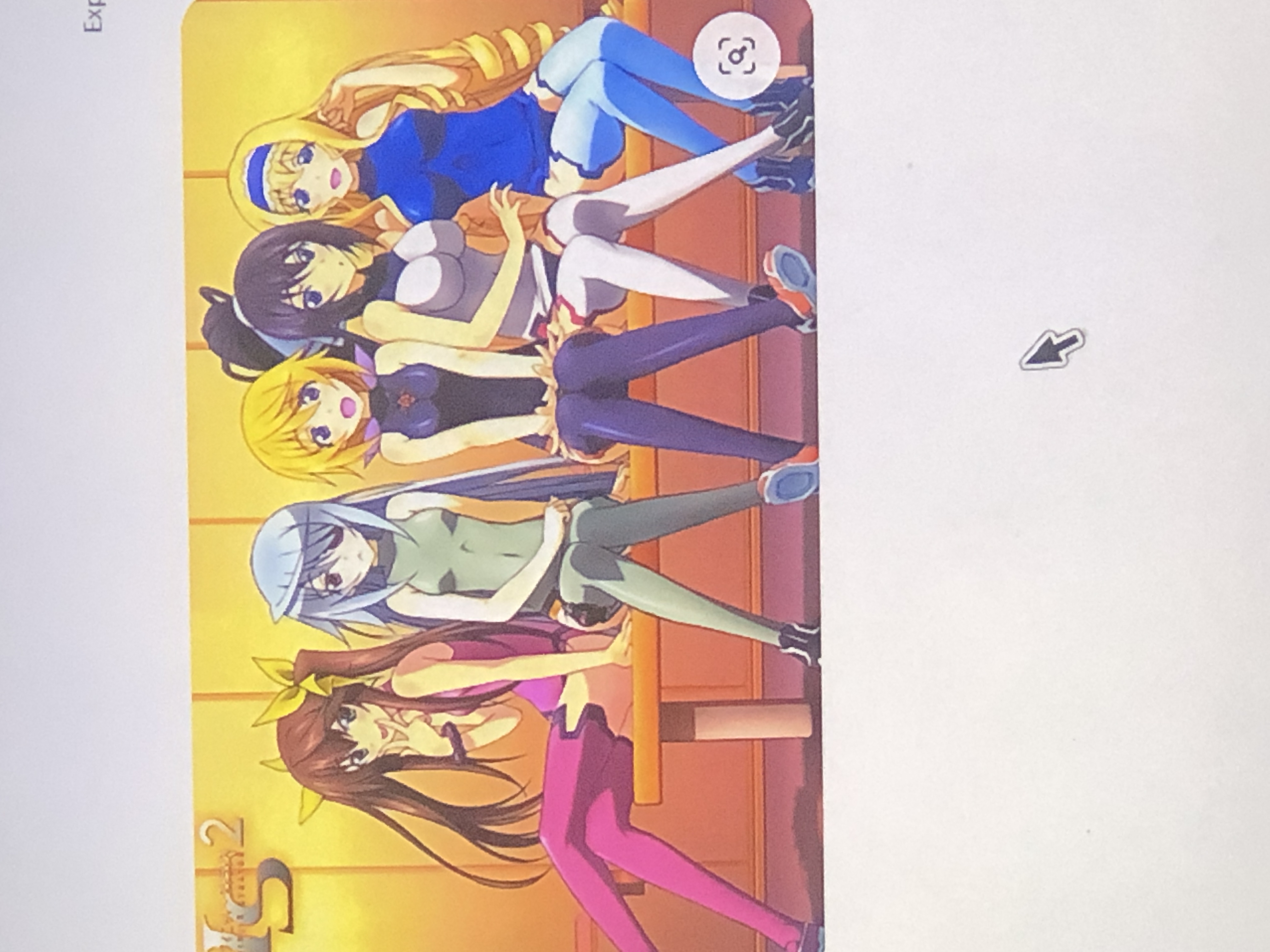 infinite stratos Do whaever you want with World reorganization Book