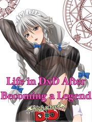Life in DxD After Becoming a Legend Book