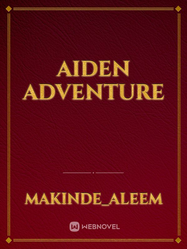 Aiden adventure Book