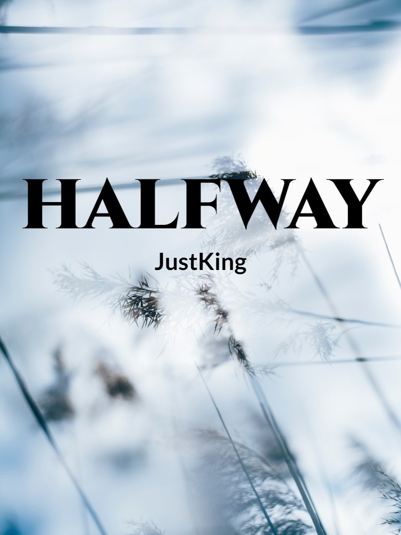 Halfway by JustKing Book