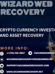 WIZARD WEB RECOVERY A TRUSTED AND LEADING RECOVERY FIRM Book