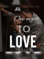 One night to love Book
