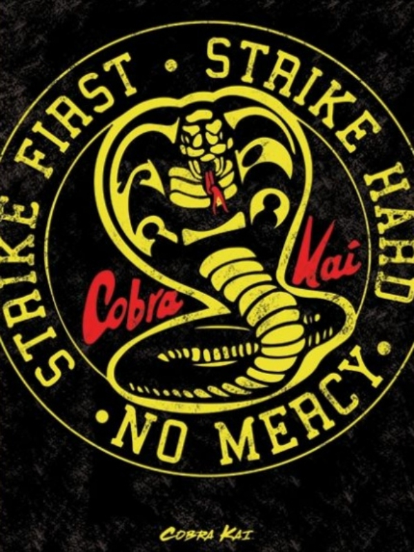 Cobra kai : no mercy Book