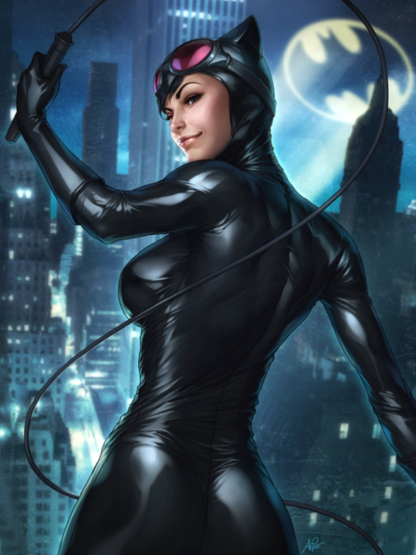 Catwoman: Twisted Addiction Book
