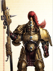 Warhammer 40K: Adeptus Custodes from Another World Book