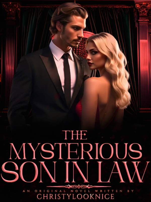 The Mysterious Son In-Law Book