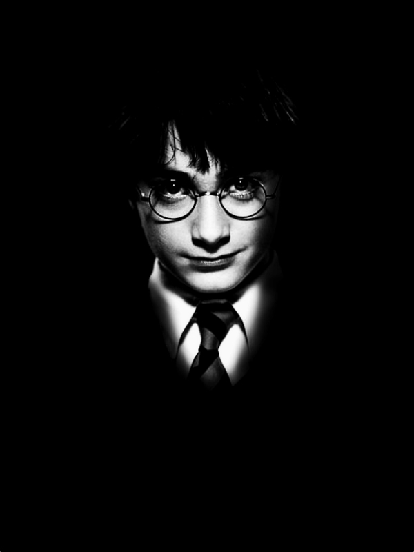 HP: Harry Had Enough Book