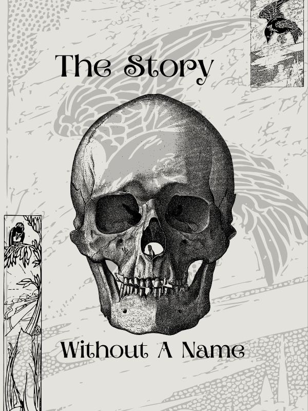 The Story Without A Name Book