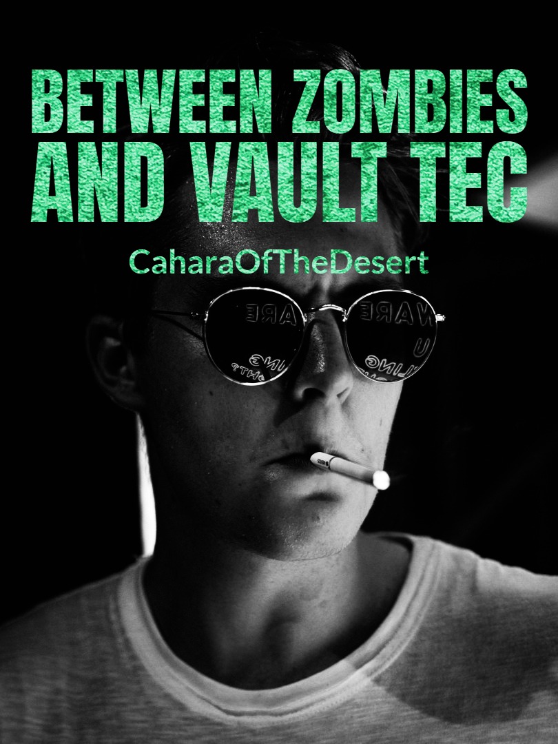 Between Zombies and Vault Tec Book