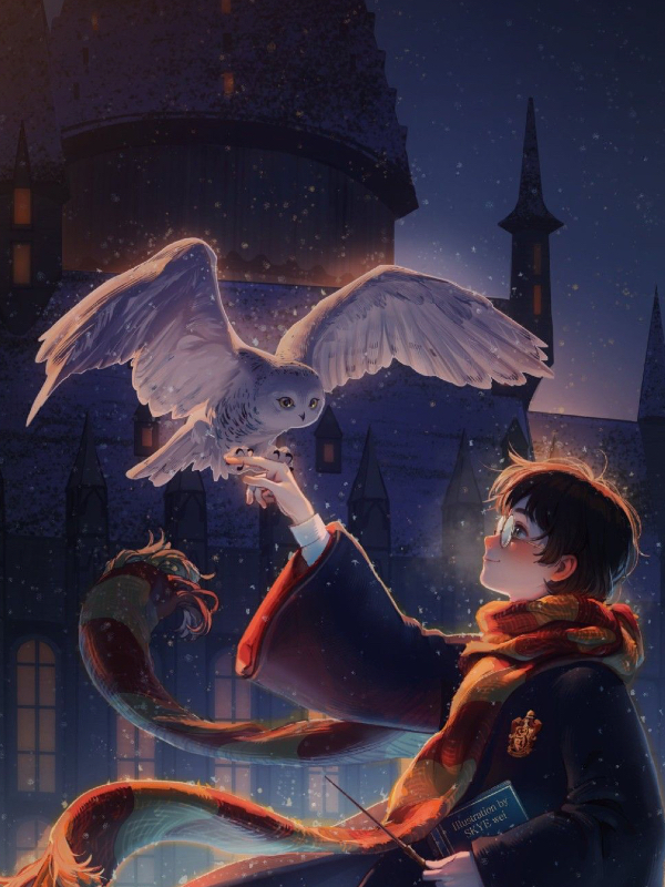 Harry Potter : Secrets pf Missing Owl’s