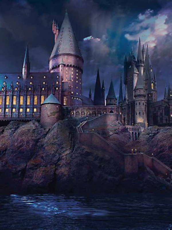 Harry Potter: Hogwarts Professor