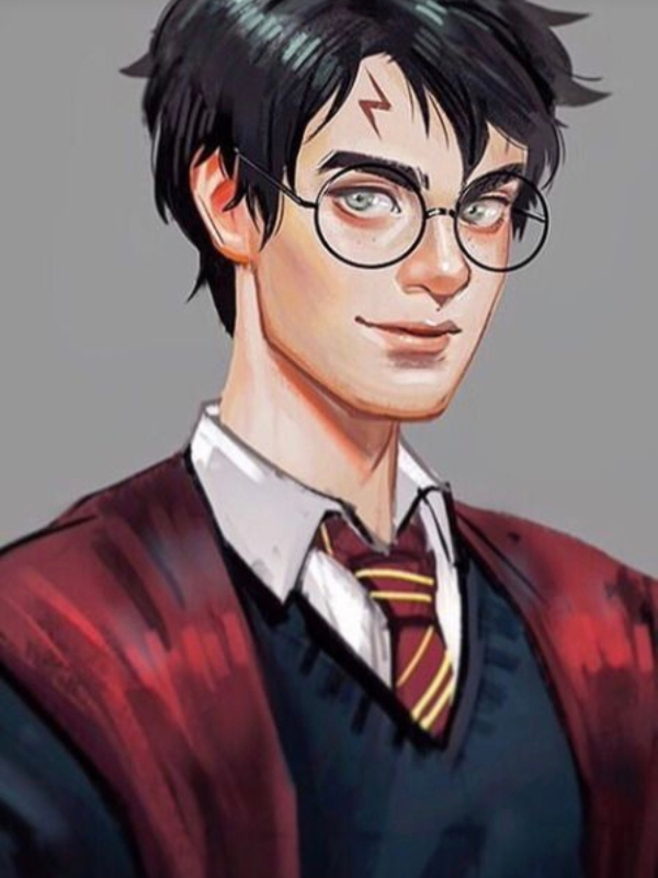 HP : Harry The Hero
