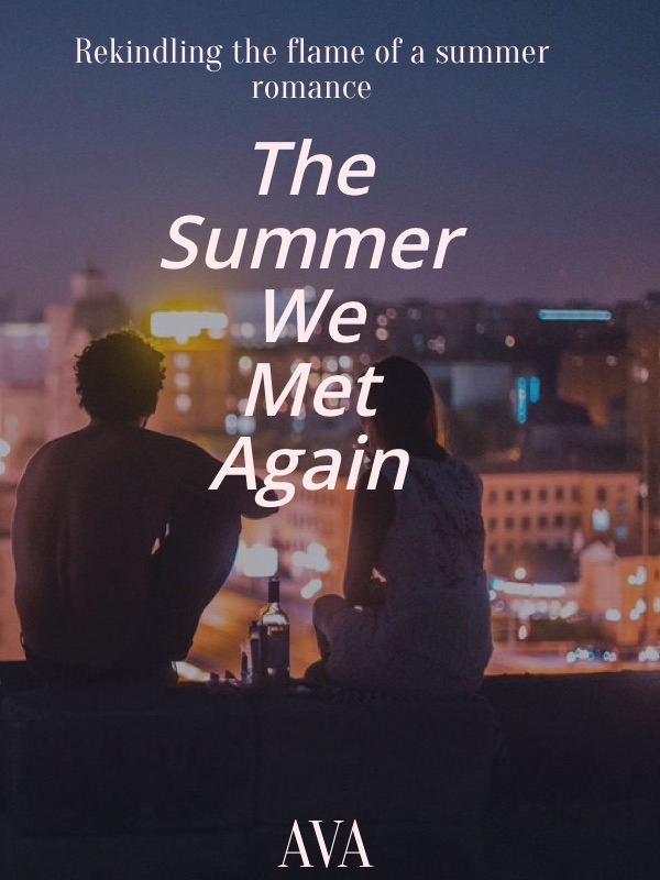 THE SUMMER WE MET AGAIN