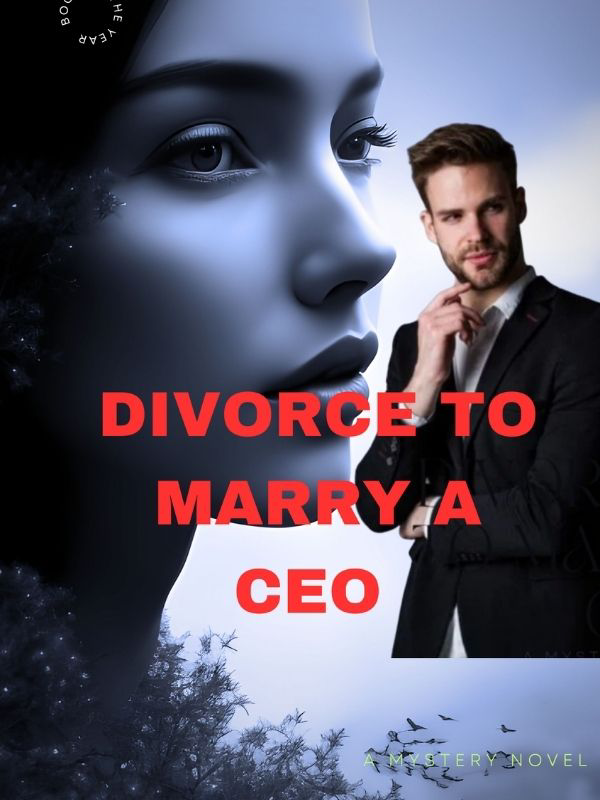 Divorce To Marry A CEO